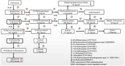 Dexamethasone application for in vitro fertilisation in non-classic 17-hydroxylase/17,20-lyase-deficient women